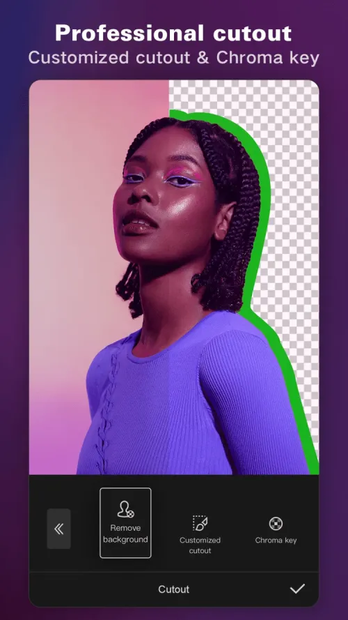professional-cutout
